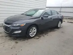 1G1ZD5ST3PF203075 2023 CHEVROLET MALIBU