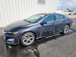 1G1ZD5ST3PF203576 2023 CHEVROLET MALIBU