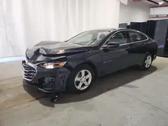 1G1ZD5ST3PF242331 2023 CHEVROLET MALIBU