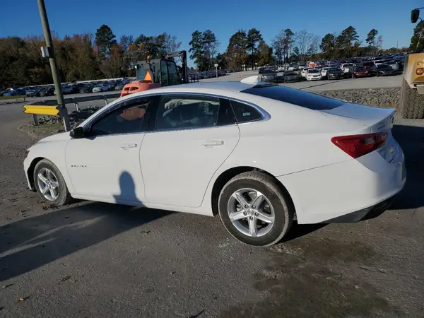 1G1ZD5ST3RF116344 2024 CHEVROLET MALIBU - Image 2