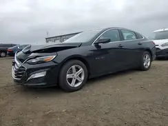 1G1ZD5ST3RF118241 2024 CHEVROLET MALIBU