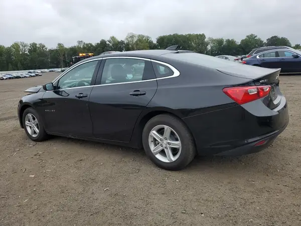 1G1ZD5ST3RF118241 2024 CHEVROLET MALIBU - Image 2