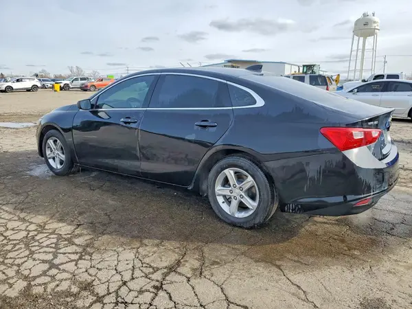 1G1ZD5ST3RF160683 2024 CHEVROLET MALIBU - Image 2