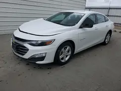 1G1ZD5ST3RF196955 2024 CHEVROLET MALIBU