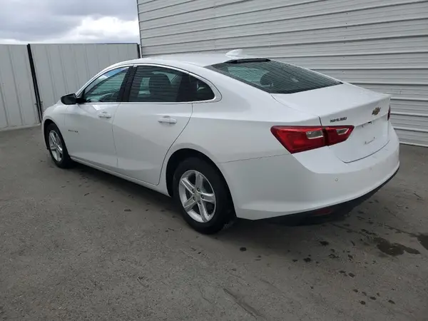 1G1ZD5ST3RF196955 2024 CHEVROLET MALIBU - Image 2