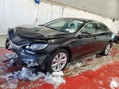 1G1ZD5ST3RF216931 2024 CHEVROLET MALIBU