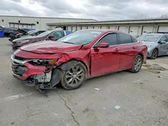 1G1ZD5ST4KF123759 2019 CHEVROLET MALIBU
