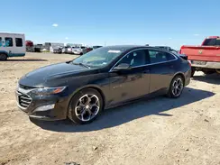1G1ZD5ST4PF137443 2023 CHEVROLET MALIBU