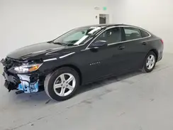 1G1ZD5ST4PF170457 2023 CHEVROLET MALIBU