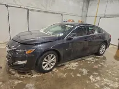 1G1ZD5ST4PF186254 2023 CHEVROLET MALIBU