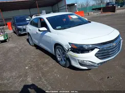1G1ZD5ST4PF186996 2023 CHEVROLET MALIBU