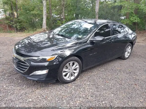 1G1ZD5ST5KF216399 2019 CHEVROLET MALIBU - Image 2