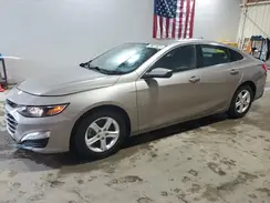 1G1ZD5ST5PF163114 2023 CHEVROLET MALIBU