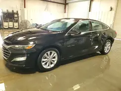 1G1ZD5ST5PF181886 2023 CHEVROLET MALIBU
