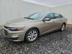 1G1ZD5ST5PF250933 2023 CHEVROLET MALIBU