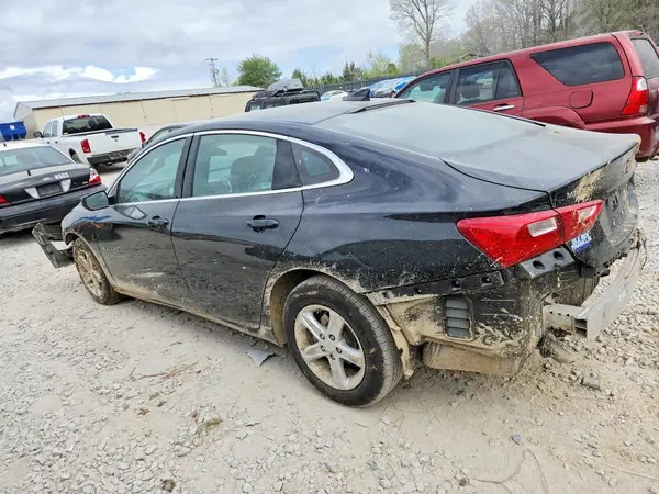 1G1ZD5ST5RF109816 2024 CHEVROLET MALIBU - Image 2