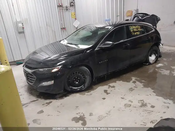1G1ZD5ST5RF110481 2024 CHEVROLET MALIBU - Image 2