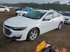 1G1ZD5ST5RF110545 2024 CHEVROLET MALIBU