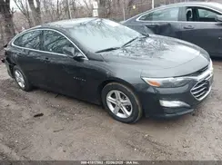 1G1ZD5ST6PF219447 2023 CHEVROLET MALIBU