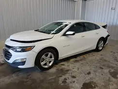 1G1ZD5ST6RF206961 2024 CHEVROLET MALIBU