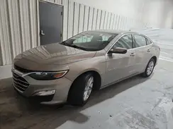 1G1ZD5ST7PF189729 2023 CHEVROLET MALIBU