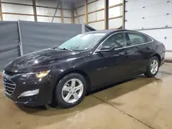 1G1ZD5ST7RF138976 2024 CHEVROLET MALIBU