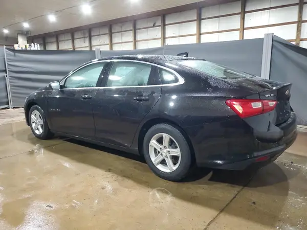 1G1ZD5ST7RF138976 2024 CHEVROLET MALIBU - Image 2