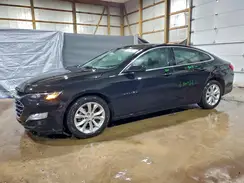 1G1ZD5ST8PF135954 2023 CHEVROLET MALIBU