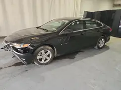 1G1ZD5ST8PF226495 2023 CHEVROLET MALIBU