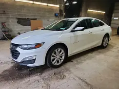 1G1ZD5ST8PF229252 2023 CHEVROLET MALIBU