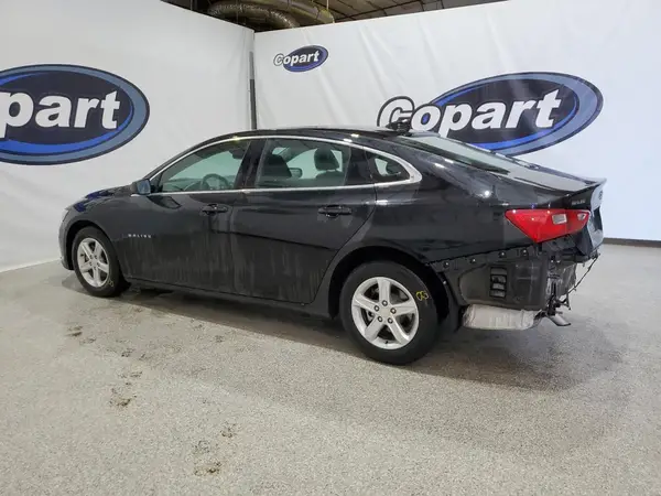 1G1ZD5ST8PF244334 2023 CHEVROLET MALIBU - Image 2