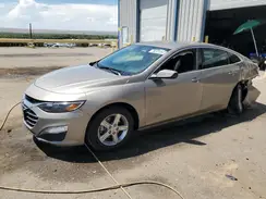 1G1ZD5ST8PF247556 2023 CHEVROLET MALIBU