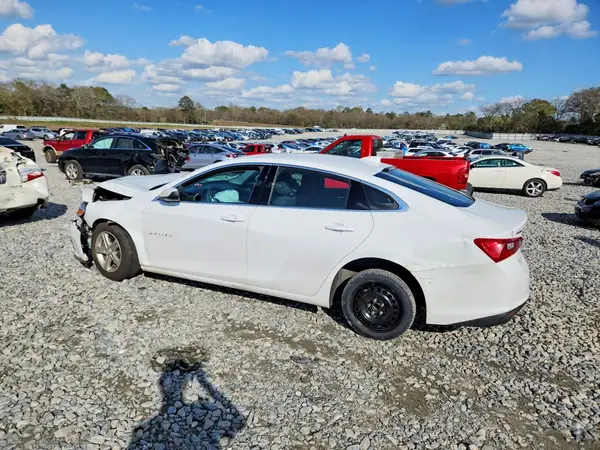 1G1ZD5ST8RF136234 2024 CHEVROLET MALIBU - Image 2