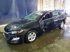 1G1ZD5ST8RF202152 2024 CHEVROLET MALIBU