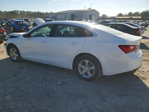 1G1ZD5ST9RF123900 2024 CHEVROLET MALIBU - Image 2