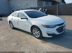 1G1ZD5STXKF203678 2019 CHEVROLET MALIBU
