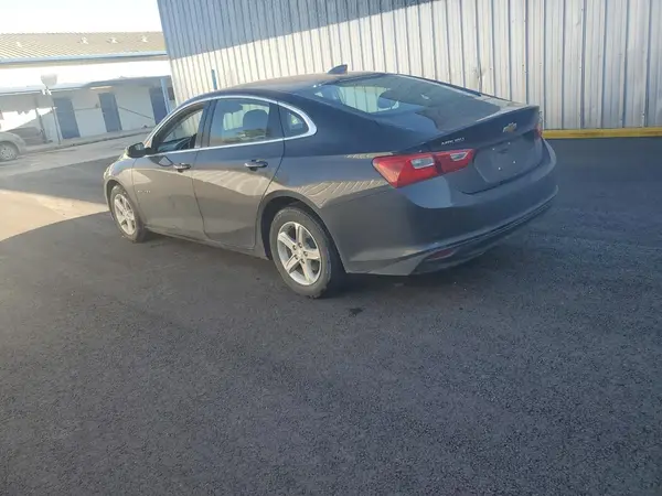 1G1ZD5STXPF210573 2023 CHEVROLET MALIBU - Image 2