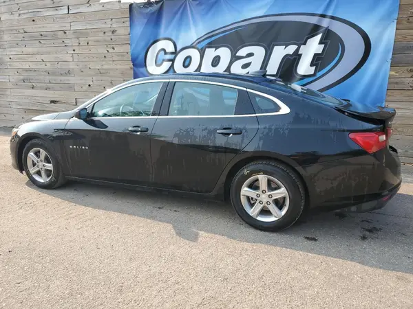 1G1ZD5STXPF215241 2023 CHEVROLET MALIBU - Image 2