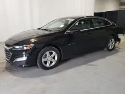 1G1ZD5STXRF112551 2024 CHEVROLET MALIBU
