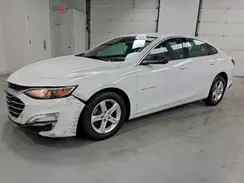 1G1ZD5STXRF114381 2024 CHEVROLET MALIBU