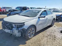 1G1ZD5STXRF167209 2024 CHEVROLET MALIBU