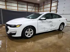 1G1ZD5STXRF194961 2024 CHEVROLET MALIBU