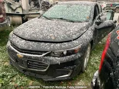 1G1ZE5ST1HF148589 2017 CHEVROLET MALIBU