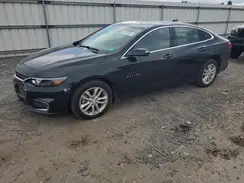 1G1ZE5ST6HF264239 2017 CHEVROLET MALIBU