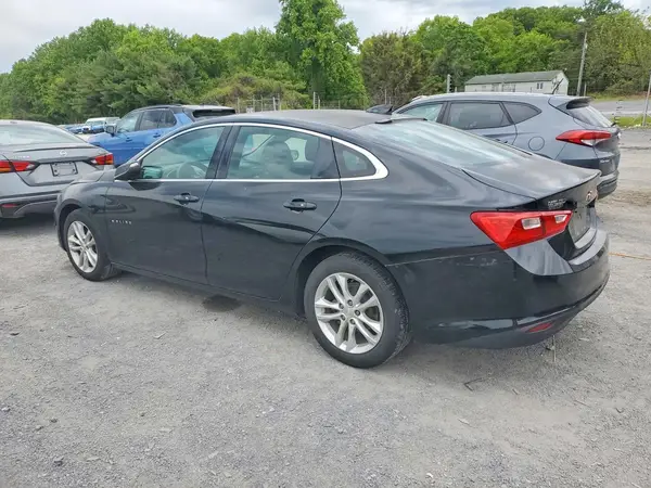 1G1ZE5ST7HF156888 2017 CHEVROLET MALIBU - Image 2