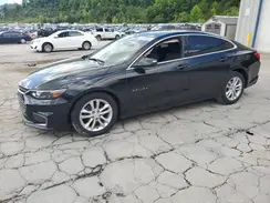 1G1ZE5STXHF239568 2017 CHEVROLET MALIBU