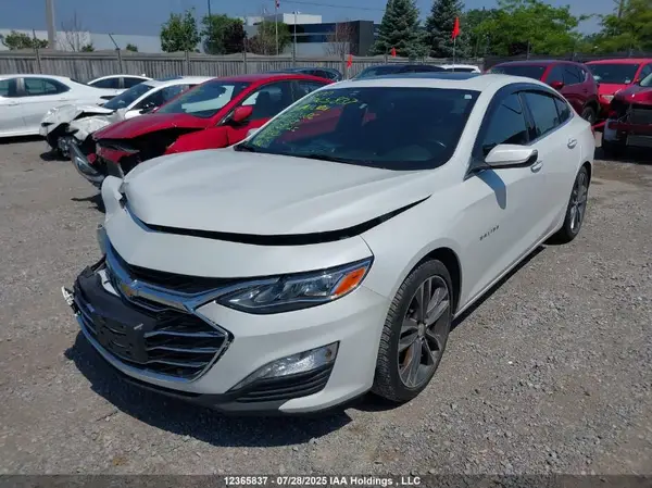 1G1ZE5SX9KF178286 2019 CHEVROLET MALIBU - Image 2
