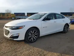 1G1ZG5ST0PF123739 2023 CHEVROLET MALIBU