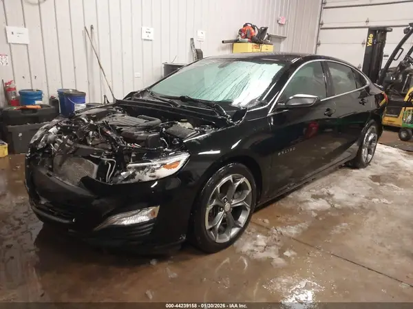 1G1ZG5ST1KF210865 2019 CHEVROLET MALIBU - Image 2