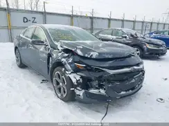 1G1ZG5ST1KF224796 2019 CHEVROLET MALIBU